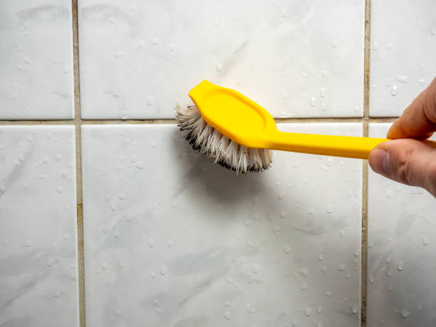 Best Toxic Mold Removal  in North Vacherie, LA