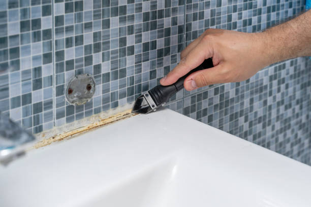 Certified Mold Removal in North Vacherie, LA