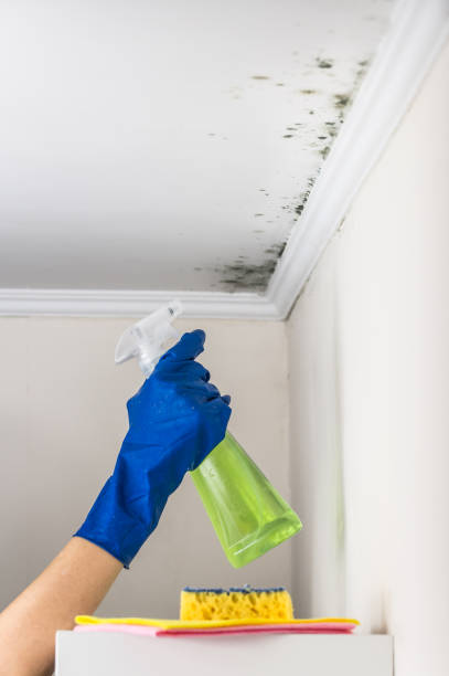 Best Mold Testing  in North Vacherie, LA